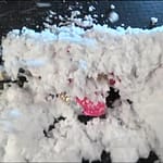 泡生き埋めメッシー｜ヒロインが包まれ閉じ込められる