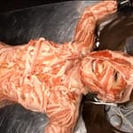 磔両手両足完全拘束メッシー｜全身をベッドに固定されて体に生肉を巻き付けられるアブノーマル拷問変態フェチ動画