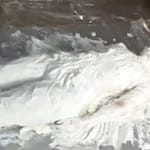 生クリームパイ投げ女体盛りメッシー｜嫌がりながらも受け入れる姿に興奮変態フェチ動画