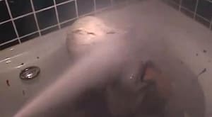 拷問メッシー密室で消火器を使う危ないプレイ