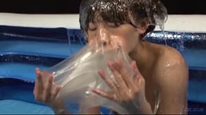 トリモチネバネバ拘束