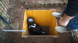 マミフィケーションして生き埋めにする完全拘束プレイ