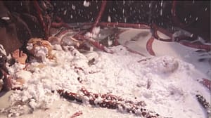 生き埋めメッシー｜触手に完全拘束され消化されるヒロイン