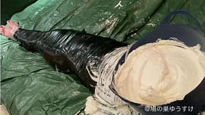 完全拘束マミフィケーション生クリーム顔面メッシー｜全身グルグル巻きに動けない状態で女は何を思う変態フェチ動画
