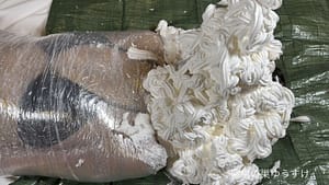 生クリーム袋詰生き埋め完全拘束女体盛りメッシー｜逃げられない顔を覆われて呼吸も出来ない絶体絶命変態フェチ動画