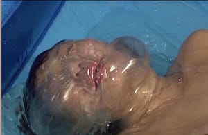 トリモチネバネバ拘束