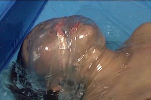 トリモチネバネバ拘束