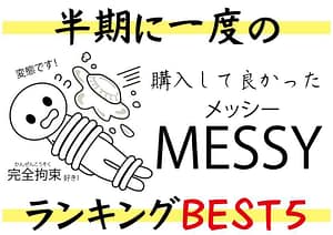 2024年に発売されたメッシー作品勝手にランキング【上半期1～6月】