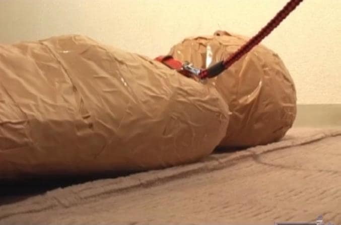 マミフィケーション