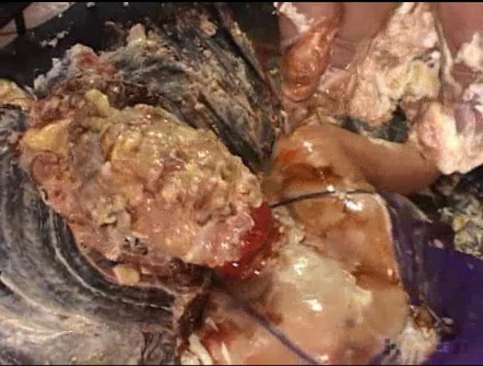 女体盛り顔面メッシー