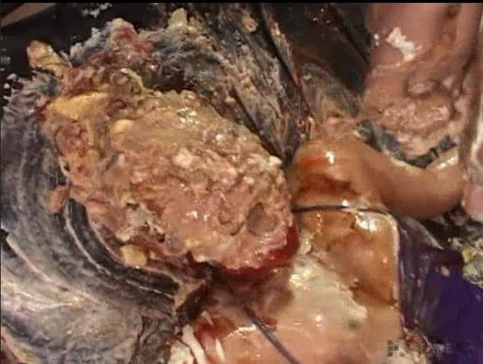 女体盛り顔面メッシー