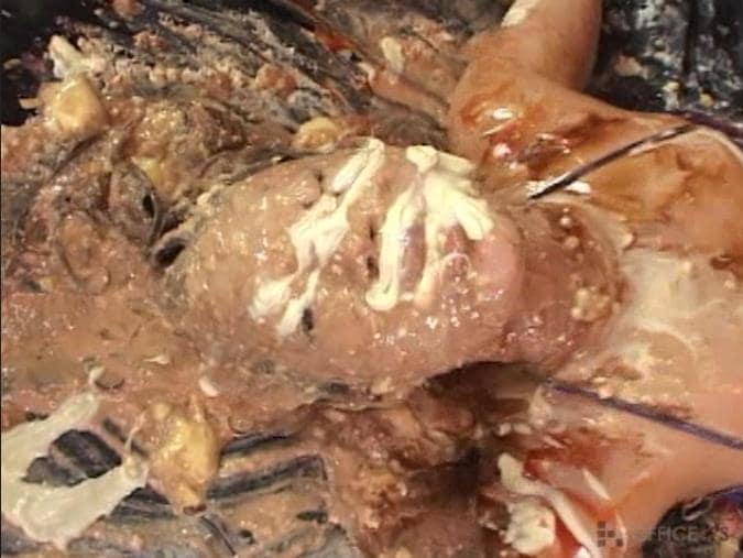 女体盛り顔面メッシー