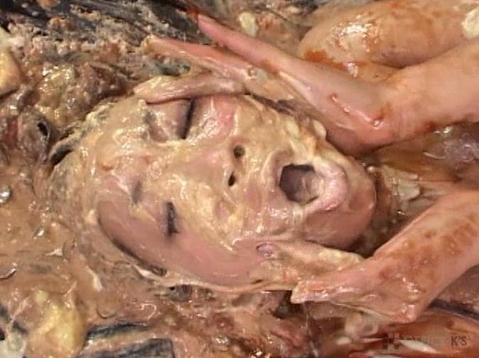 女体盛り顔面メッシー