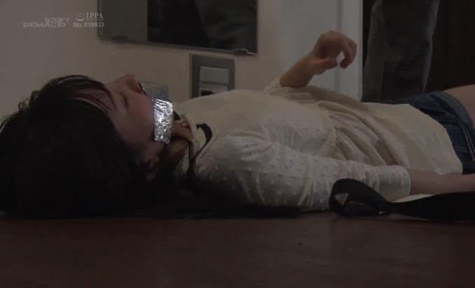 DID監禁完全拘束