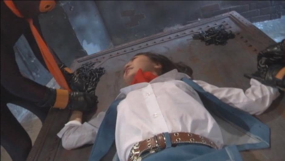 DID磔X字完全拘束