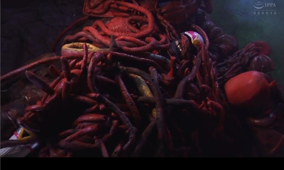 十字架磔完全拘束