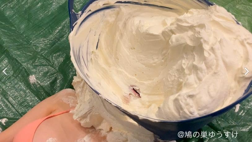 顔面山盛りパイ投げメッシー