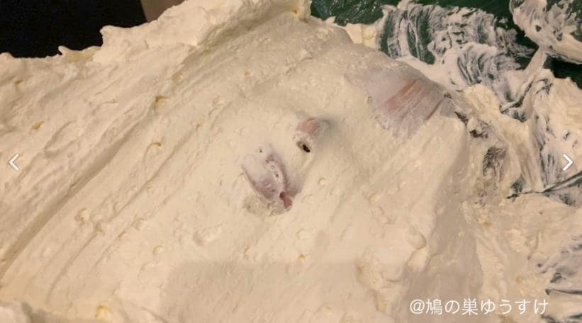 顔面山盛りパイ投げメッシー