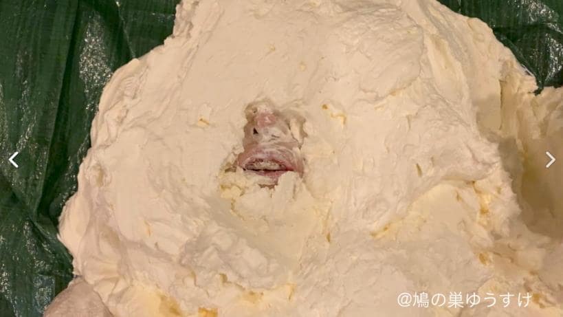 顔面山盛りパイ投げメッシー