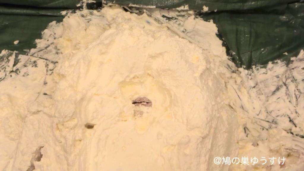 山盛り生クリーム女体盛り顔面生き埋めメッシー