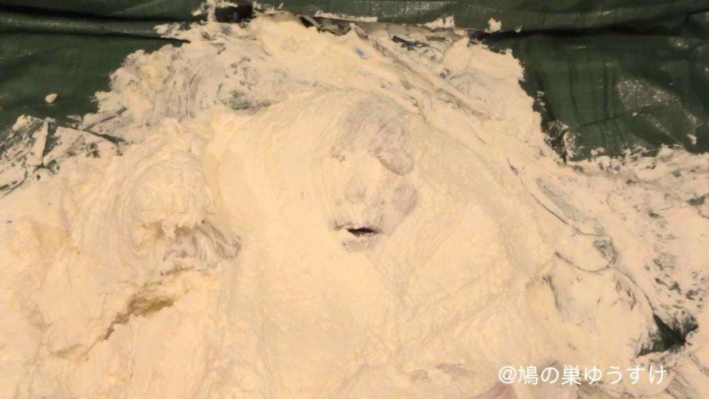 山盛り生クリーム女体盛り顔面生き埋めメッシー