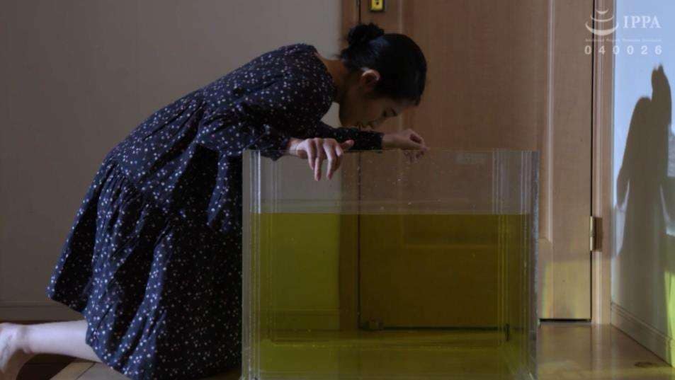 ファンタジー完全拘束凝固