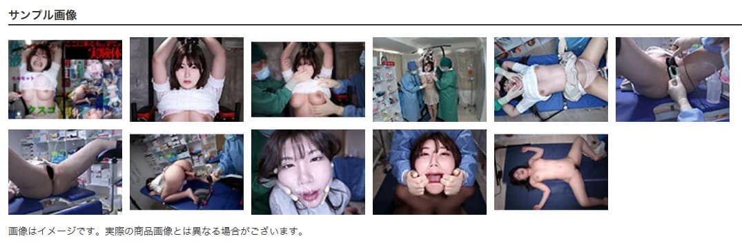 完全拘束実験体モルモット状態